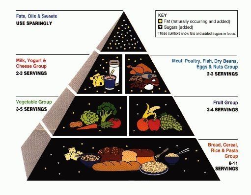 MyPlate: The New, New Food Pyramid