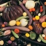 EggplantMix Heirloom Vegetables
